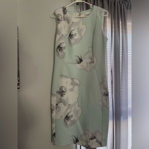 Women’s Calvin Klein Dress